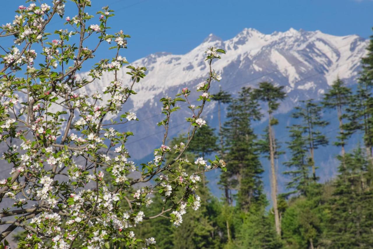 The Tirthan Eagle Nest, Tirthan Valley Jibhi Экстерьер фото