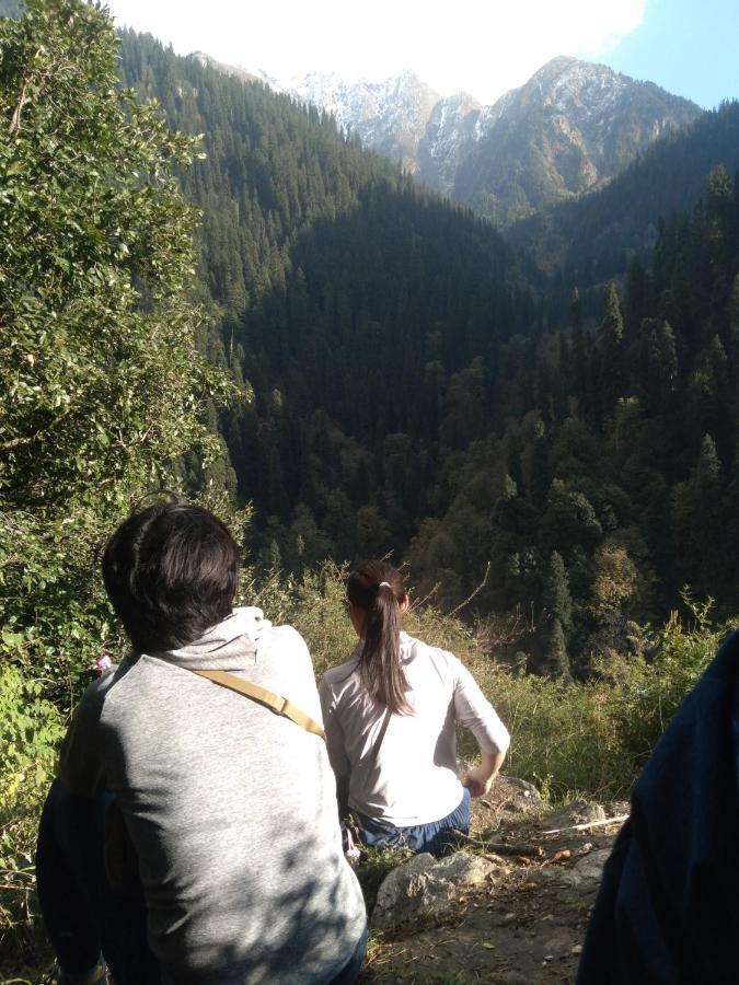 The Tirthan Eagle Nest, Tirthan Valley Jibhi Экстерьер фото