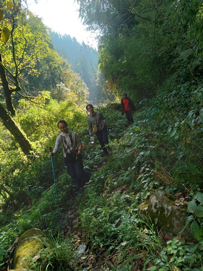 The Tirthan Eagle Nest, Tirthan Valley Jibhi Экстерьер фото